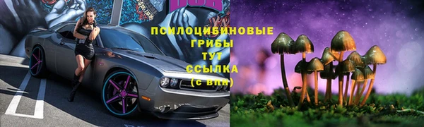 СК Абдулино