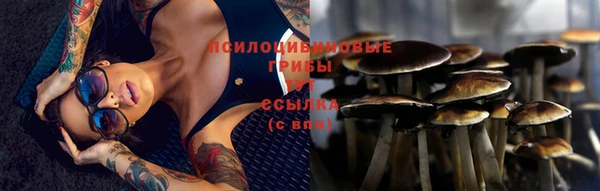 стафф Саяногорск