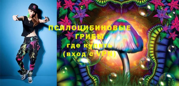 МДПВ Сатка