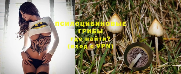 СК Абдулино