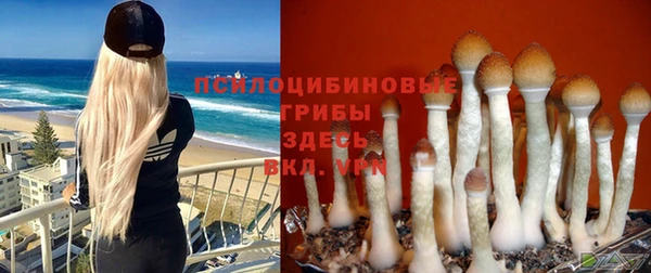 стафф Саяногорск